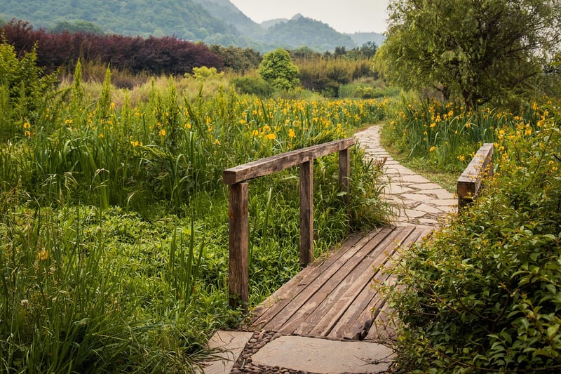 Enchanted Pathway